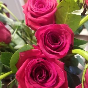 Meet your Posher, Asimah